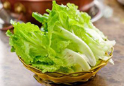 生菜的功效作用能鎮痛催眠,降低膽固醇