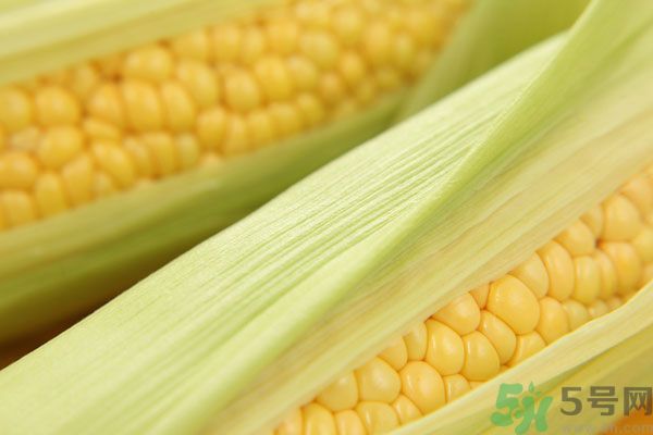 哺乳期能吃玉米回奶嗎？產(chǎn)婦吃玉米會(huì)回奶嗎？