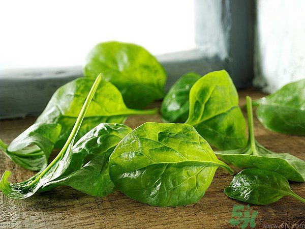 缺鐵有什么癥狀和危害？含鐵高的食物有哪些？