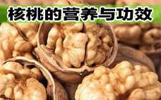 核桃有白毛但是仁沒壞能吃嗎 核桃有保質期嗎