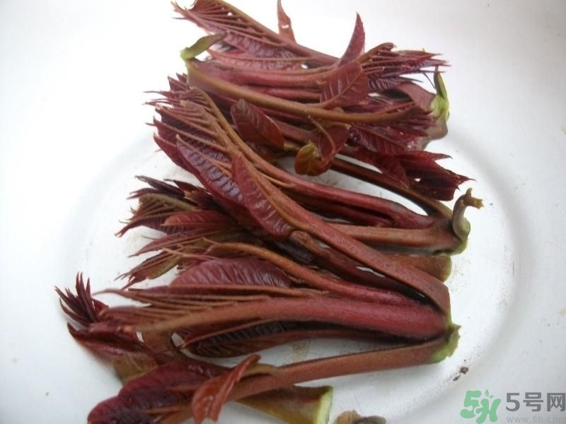 香椿好吃嗎？香椿可以做菜嗎？