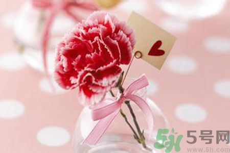 母親節送什么顏色的康乃馨？母親節應該買什么顏色的康乃馨？
