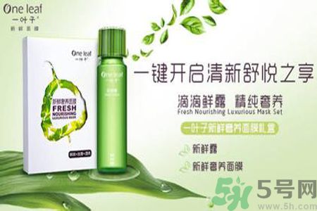 一葉子鮮補(bǔ)水保濕眼霜適合什么膚質(zhì)？