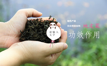 什么是地皮菜呢 地皮菜有什么營養價值呢