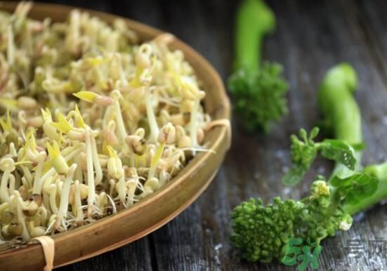 怎樣自己發綠豆芽？綠豆芽怎樣自己發？