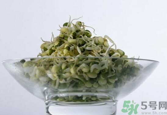 怎樣自己發(fā)綠豆芽？綠豆芽怎樣自己發(fā)？