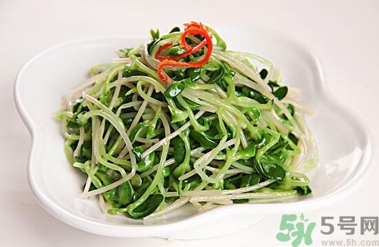 怎樣自己發綠豆芽？綠豆芽怎樣自己發？