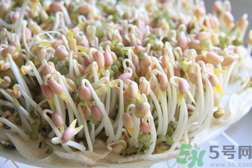 紅豆可以發(fā)豆芽嗎？紅豆芽可以吃嗎？