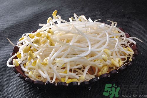 黃豆發芽了還能吃嗎?發芽的黃豆怎么處理