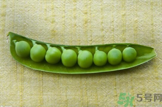 吃豌豆會(huì)發(fā)胖嗎豌豆的熱量高嗎？
