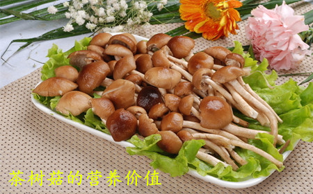 茶樹菇老鴨湯怎么做好吃 茶樹菇老鴨湯的營養價值