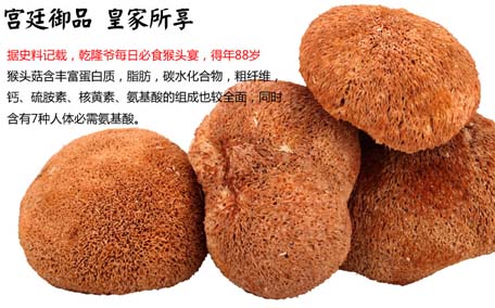 干猴頭菇怎么泡發最好 干猴頭菇要泡發多久