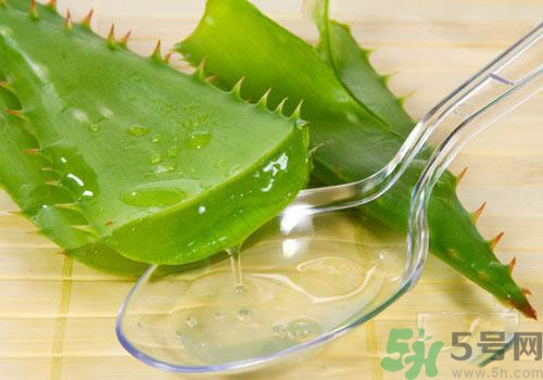 蘆薈膠要洗臉嗎？用完蘆薈膠要不要洗臉？