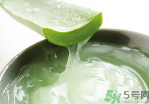 蘆薈膠可以天天用嗎？蘆薈膠天天用好不好？