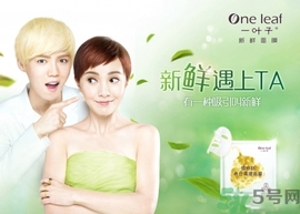一葉子面膜怎么樣？一葉子明星產品