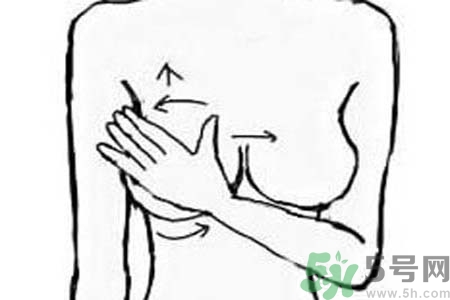 乳房脹痛的原因？乳房脹痛怎么辦？