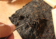 普洱茶怎么保存？茶葉能放冰箱嗎？