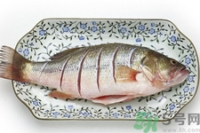 如何挑選新鮮魚？怎樣吃到不被污染的魚？