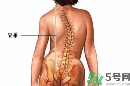 僵直性脊椎炎的癥狀有哪些？怎樣預(yù)防僵直性脊椎炎？