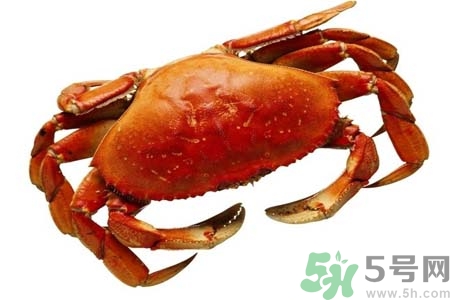 10月份吃螃蟹好嗎？10月份吃什么螃蟹？