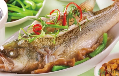 鱸魚(yú)和桂魚(yú)哪個(gè)好吃？鱸魚(yú)和桂魚(yú)的區(qū)別