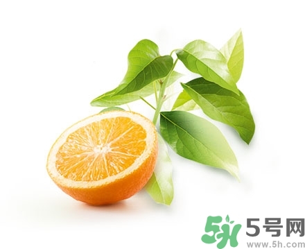 淳萃洗發水好用嗎？淳萃洗發水怎么樣？