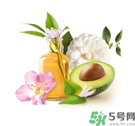 淳萃洗發水好用嗎？淳萃洗發水怎么樣？