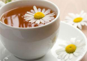 寒露喝什么茶好？寒露喝什么茶最養(yǎng)生？