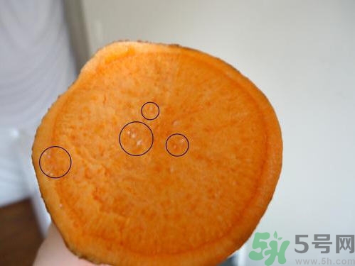 番薯發(fā)芽還能吃嗎？山芋發(fā)芽還能吃嗎？