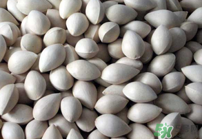 吃白果有什么好處和壞處？吃白果有什么作用？