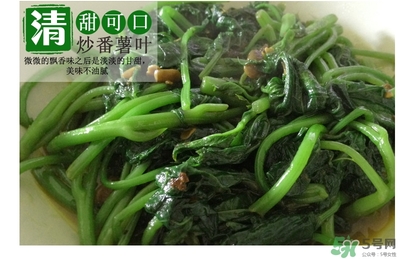 紅薯葉哺乳期可以吃嗎？紅薯葉產(chǎn)婦可以吃嗎？