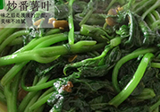 紅薯葉不能和什么一起吃？紅薯葉什么不能吃？