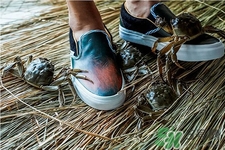 vans與acu合作款鞋子在哪可以買？vans與acu合作款鞋子上市發售時間
