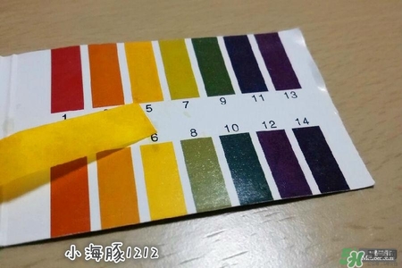 賽貝格哪里買？賽貝格哪里有專柜？