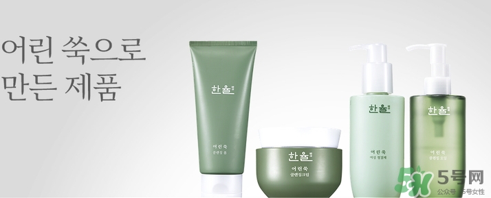 韓律艾草洗面奶多少錢？韓律艾草洗面奶專柜價格