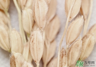 韓律適合什么膚質？韓律適合敏感肌膚嗎？
