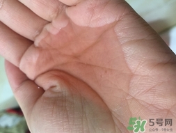 klorane洗發水多少錢?法國klorane洗發水價格