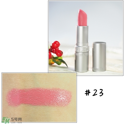 t.leclerc蕾克蕾口紅怎么樣？蕾克蕾唇膏試色色號圖