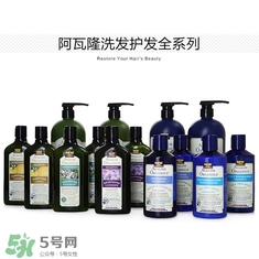 洗發水什么牌子好？洗發水2017品牌排行榜