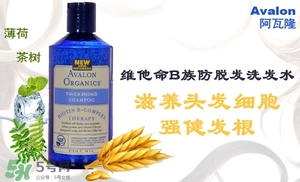 洗發水什么牌子好？洗發水2017品牌排行榜