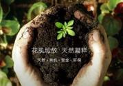 花肌粹護(hù)膚品怎么樣？花肌粹護(hù)膚品含激素嗎？