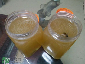 冬蜜多少錢一斤？冬蜜如何辨別真假？