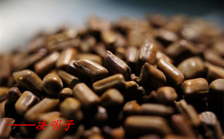 決明子泡水能每天長期喝嗎 決明子泡水一次放多少