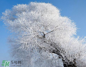 2017年第一場雪什么時候？2017年什么時候下雪？
