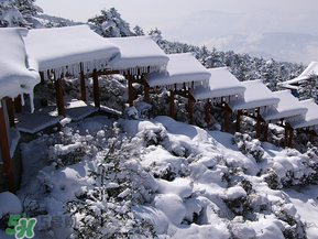 2017年第一場雪什么時候？2017年什么時候下雪？