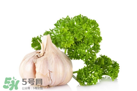 2017過年大蒜會(huì)漲價(jià)嗎？2017年春節(jié)大蒜價(jià)格預(yù)測(cè)