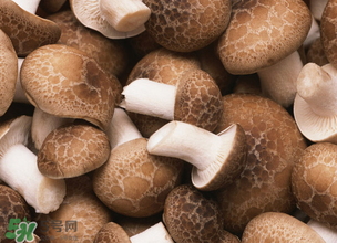 一歲寶寶可以吃香菇嗎？寶寶多大可以吃香菇？