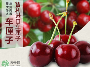 車?yán)遄恿验_能吃嗎？車?yán)遄訛槭裁磿验_？
