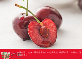 車(chē)?yán)遄幽睦锂a(chǎn)的最好？車(chē)?yán)遄赢a(chǎn)地在哪里？