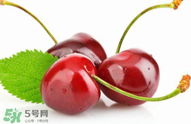 車?yán)遄涌梢詭巷w機(jī)嗎？車?yán)遄幽軒巷w機(jī)嗎？